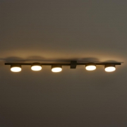 Светильник потолочный Lamia 5х40Вт GX53 IP20 Freya FR5182CL-05B FR5182CL-05B