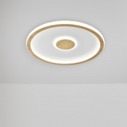 Светильник потолочный Orbit 80Вт 3000-6000К IP20 Freya FR5421CL-L80BG FR5421CL-L80BG