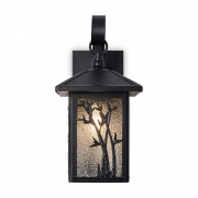 Светильник Saga 1х40Вт E27 IP44 бра настен. Voltega VGL7218WL-01B VGL7218WL-01B