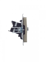 Розетка компьютерная + телевизионная 2-м Brite РТВ/РК12-БрШ RJ45 кат.5E + TV шампань IEK BR-AK20-1-K37 BR-AK20-1-K37