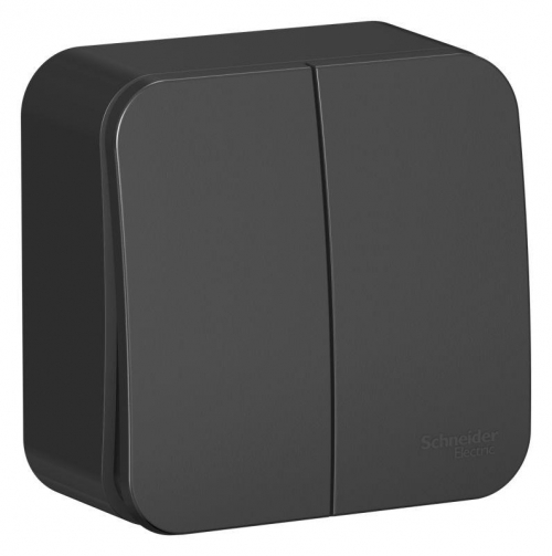 Выключатель 2-кл. ОП Blanca 10А IP20 (сх. 5) 250В с изолир. пластиной антрацит SE BLNVA105016 BLNVA105016