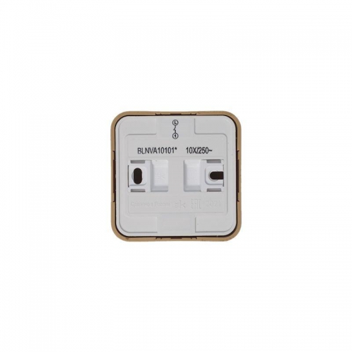 Выключатель 1-кл. ОП Blanca 10А IP20 (сх. 1) 250В с изолир. пластиной ясень SE BLNVA101015 BLNVA101015