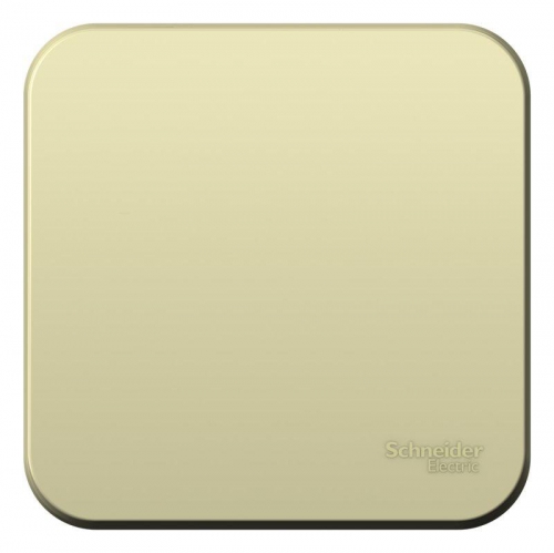 Выключатель 1-кл. ОП Blanca 10А IP20 (сх. 1) 250В с изолир. пластиной беж. SE BLNVA101017 BLNVA101017