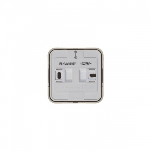 Выключатель 1-кл. ОП Blanca 10А IP20 (сх. 1) 250В с изолир. пластиной беж. SE BLNVA101017 BLNVA101017