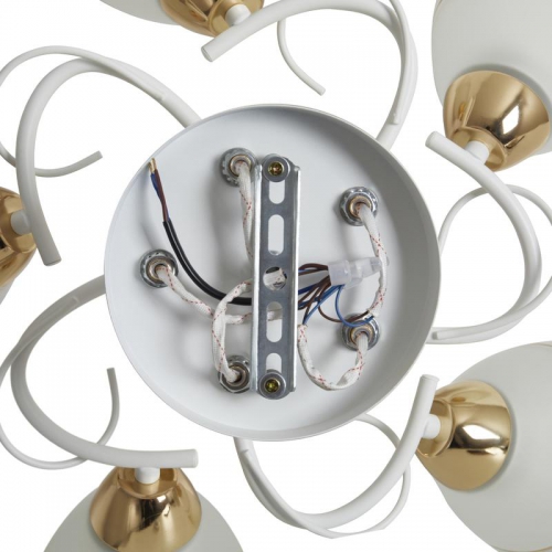 Светильник Entle 200Вт E27х5 IP20 потолочн. Freya FR5465CL-05W FR5465CL-05W