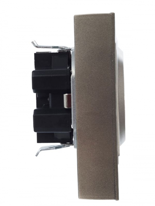 Розетка 2-м СП BRITE РСш12-3-БрШ 16А в сборе с заземл. защ. шторки шампань IEK BR-R24-16-K37-F BR-R24-16-K37-F