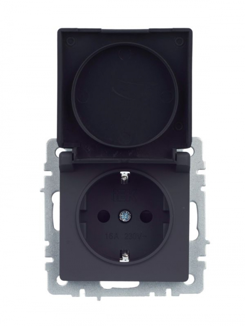 Розетка BRITE РСбш10-3-44-БрГ 16А IP44 с заземл. защ. шторки с крышкой графит IEK BR-R16-16-44-K53 BR-R16-16-44-K53