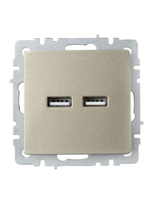 Розетка BRITE USB A+A 3.1А РЮ10-1-БрШ шампань IEK BR-U21-D31-K37 BR-U21-D31-K37