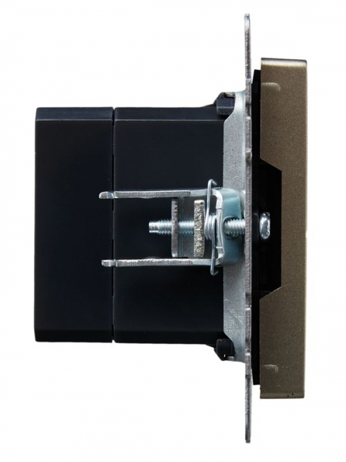 Розетка BRITE USB A+A 3.1А РЮ10-1-БрШ шампань IEK BR-U21-D31-K37 BR-U21-D31-K37