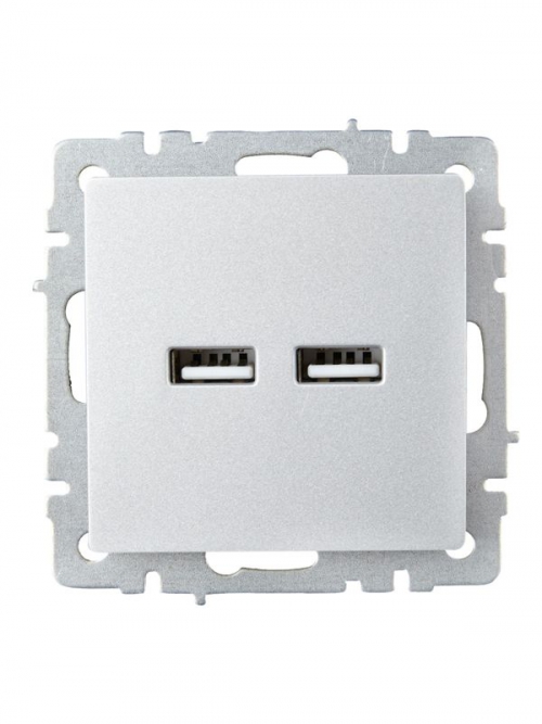 Розетка BRITE USB A+A 3.1А РЮ10-1-БрА алюм. IEK BR-U21-D31-K47 BR-U21-D31-K47