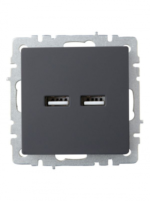 Розетка BRITE USB A+A 3.1А РЮ10-1-БрГ графит IEK BR-U21-D31-K53 BR-U21-D31-K53