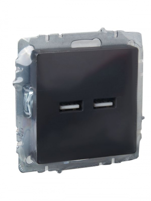 Розетка BRITE USB A+A 3.1А РЮ10-1-БрГ графит IEK BR-U21-D31-K53 BR-U21-D31-K53