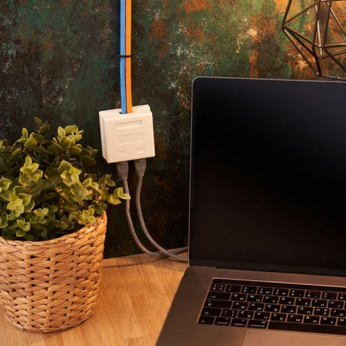 Розетка сетевая LAN на стену 2 гнездо 8Р8С (RJ-45) 5кат. Rexant 06-0105-C 06-0105-C