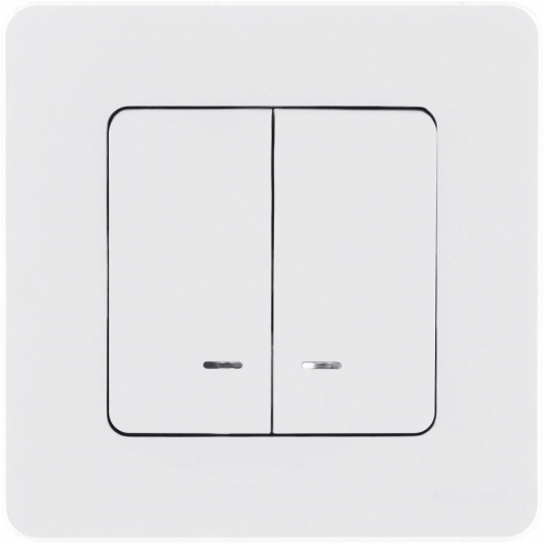 Выключатель 2-кл. Inspiria 10А IP20 250В 10AX с подсветкой/индикацией механизм бел. Leg 673630 673630