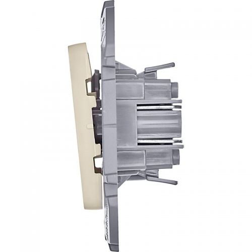 Механизм переключателя 1-кл. Inspiria 10А IP20 250В 10AX сл. кость Leg 673651 673651