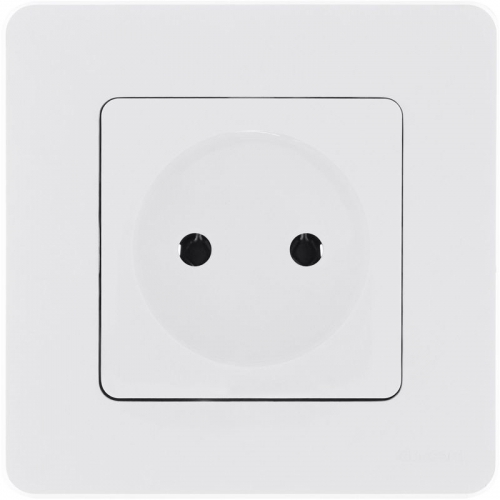 Розетка 1-м СП Inspiria 16А IP20 250В 2P механизм бел. Leg 673710 673710