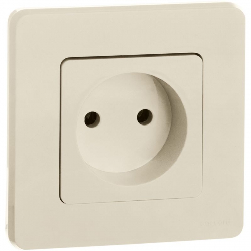 Розетка 1-м СП Inspiria 16А IP20 250В 2P механизм сл. кость Leg 673711 673711