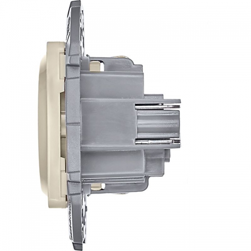 Розетка 1-м СП Inspiria 16А IP20 250В 2P+E немецк. стандарт механизм сл. кость Leg 673721 673721