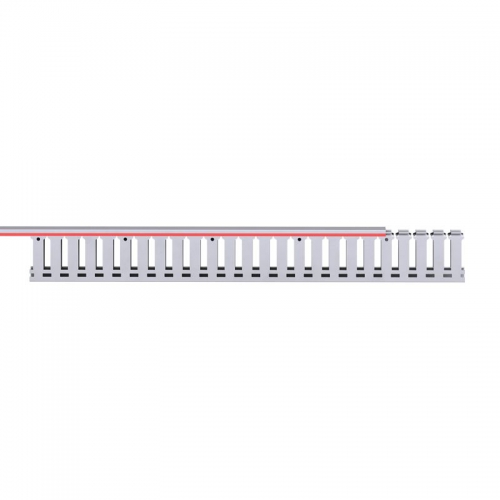 Кабель-канал перфорированный 25х60 L2000 RL12 G DKC 00136RL 00136RL