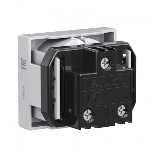 Розетка 1-м СП Viva 2мод. защ. шторки с заземл. сер. DKC 45025 45025