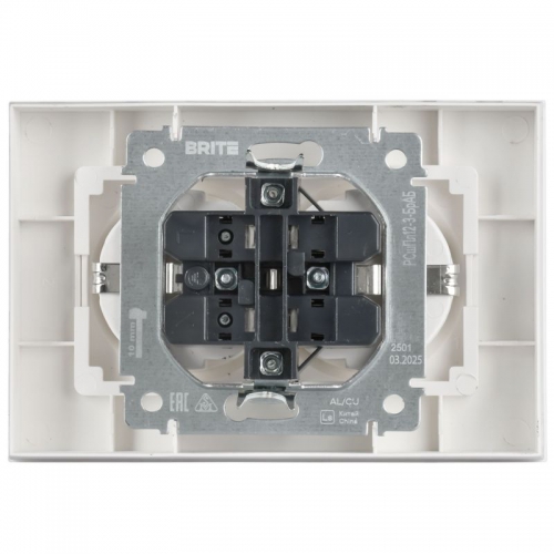 Розетка 2-м СП BRITE РСшПл12-3-БрАБ 16А в сборе с заземл. защ. шторки плоская арктич. бел. IEK BR-R28-16-K91-F BR-R28-16-K91-F