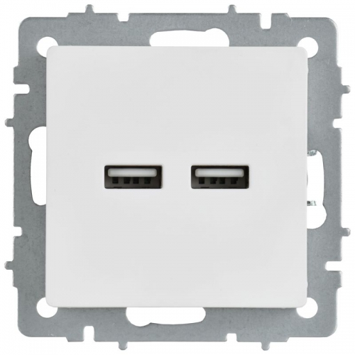 Розетка BRITE РЮ10-1-БрАБ USB A+A 3.1А механизм арктич. бел. IEK BR-U21-D31-K91 BR-U21-D31-K91