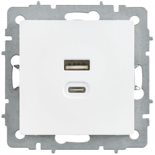 Розетка СП BRITE РЮ11-2-БрАБ USB A+C 45Вт высокоскор. заряд. арктич. бел. IEK BR-U22-045-K91 BR-U22-045-K91