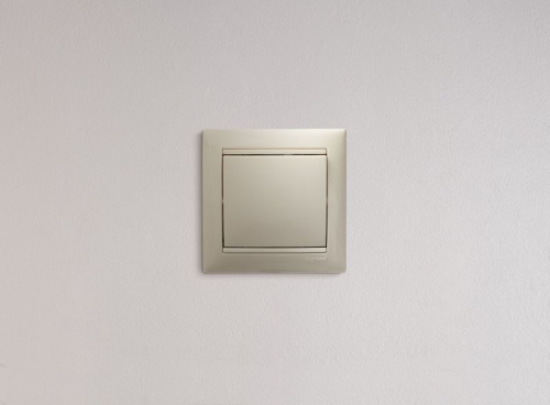 Механизм выключателя 1-кл. СП Valena 10А IP31 сл. кость Leg 774301 774301