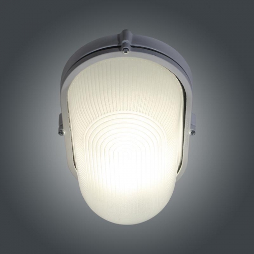 Светильник НПП 03-100-017 