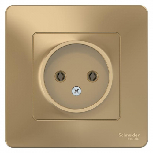 Розетка 1-м СП Blanca 16А IP20 250В без заземл. без защ. шторок титан SE BLNRS000014 BLNRS000014