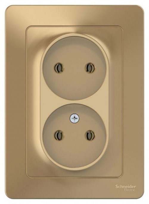 Розетка 2-м СП Blanca 16А IP20 250В без заземл. без защ. шторок титан SE BLNRS000024 BLNRS000024