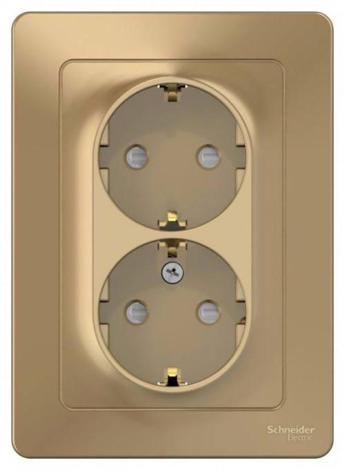 Розетка 2-м СП Blanca 16А IP20 250В с заземл. защ. шторки титан SE BLNRS001124 BLNRS001124