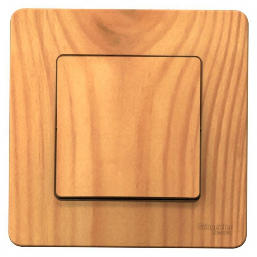 Выключатель 1-кл. СП Blanca 10А IP20 (сх. 1) 250В ясень SE BLNVS010105 BLNVS010105