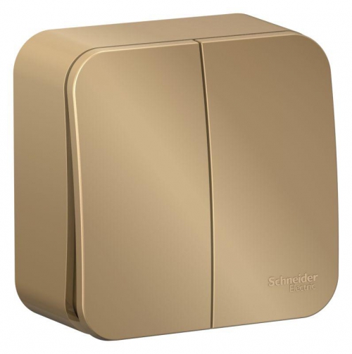 Выключатель 2-кл. ОП Blanca 10А IP20 (сх. 5) 250В с изолир. пластиной титан SE BLNVA105014 BLNVA105014