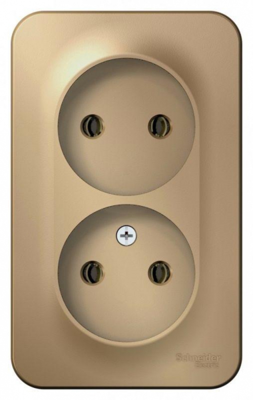 Розетка 2-м ОП Blanca 16А IP20 250В без заземл. без защ. шторок с изолир. пластиной титан SE BLNRA000214 BLNRA000214