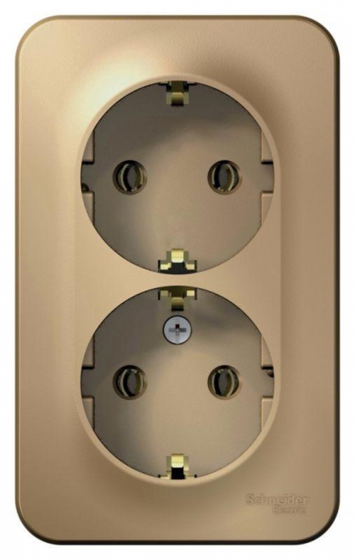 Розетка 2-м ОП Blanca 16А IP20 250В с заземл. без защ. шторок с изолир. пластиной титан SE BLNRA010214 BLNRA010214