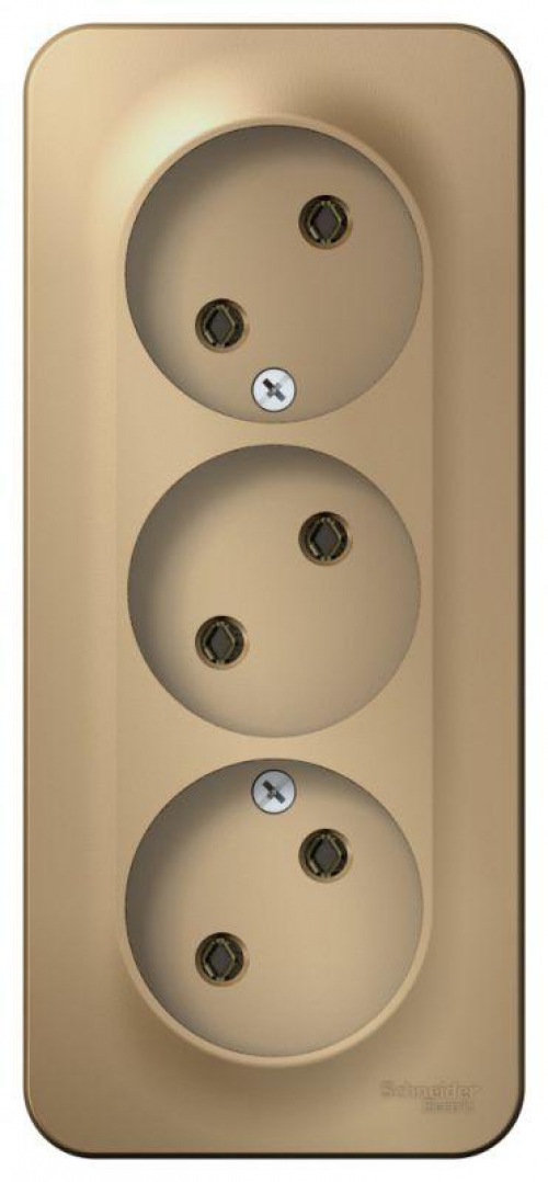 Розетка 3-м ОП Blanca 16А IP20 250В без заземл. без защ. шторок с изолир. пластиной титан SE BLNRA000314 BLNRA000314