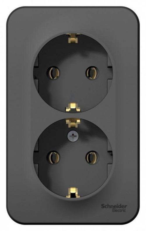Розетка 2-м ОП Blanca 16А IP20 250В с заземл. без защ. шторок антрацит SE BLNRA010206 BLNRA010206
