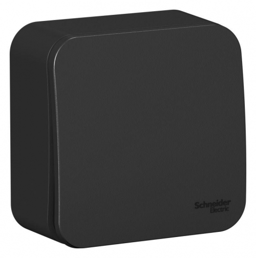 Переключатель проходной 1-кл. ОП Blanca 10А IP20 (сх. 6) 250В с изолир. пластиной антрацит SE BLNVA106016 BLNVA106016