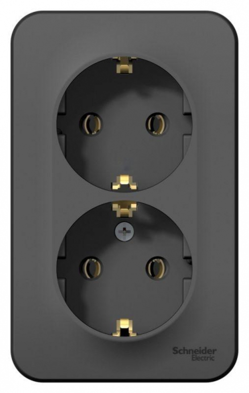 Розетка 2-м ОП Blanca 16А IP20 250В с заземл. без защ. шторок с изолир. пластиной антрацит SE BLNRA010216 BLNRA010216