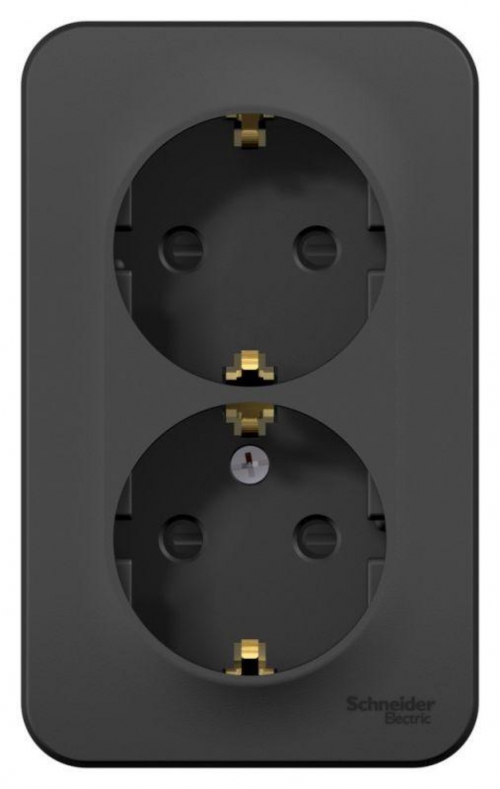 Розетка 2-м ОП Blanca 16А IP20 250В с заземл. защ. шторки с изолир. пластиной антрацит SE BLNRA011216 BLNRA011216