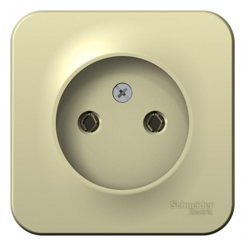 Розетка 1-м ОП Blanca 16А IP20 250В без заземл. без защ. шторок с изолир. пластиной беж. SE BLNRA000117 BLNRA000117