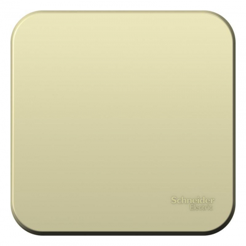 Переключатель проходной 1-кл. ОП Blanca 10А IP20 (сх. 6) 250В с изолир. пластиной беж. SE BLNVA106017 BLNVA106017