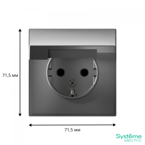 Розетка ArtGallery 16А IP20 с заземл. защ. шторки с крышкой механизм сталь SE GAL000946 GAL000946