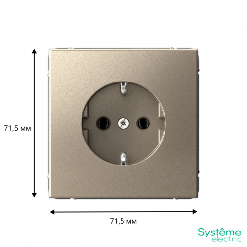 Розетка ArtGallery 16А с заземл. быстрозажим. клем. механизм шампань SE GAL000543S GAL000543S