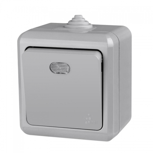 Выключатель 1-кл. ОП Dita IP54 10А 250В с индикацией сер. TOKOV ELECTRIC TKL-DT-V1I-C06-IP54 TKL-DT-V1I-C06-IP54