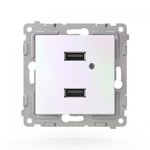 Розетка 2-м USB СП Pixel тип A+A 5В 1х2.1А 2х1.05А механизм перламутр. TOKOV ELECTRIC TKE-PX-2USB-C04 TKE-PX-2USB-C04