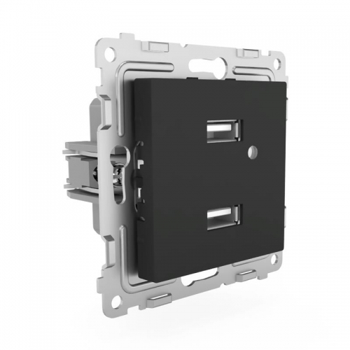 Розетка 2-м USB СП Pixel тип A+A 5В 1х2.1А 2х1.05А механизм карбон TOKOV ELECTRIC TKE-PX-2USB-C14 TKE-PX-2USB-C14