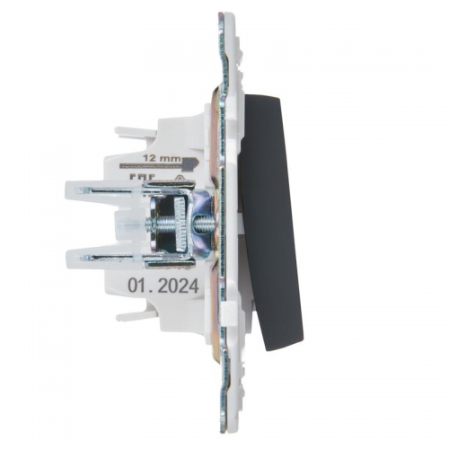 Выключатель 1-кл. SKANDY 10А SK-V07G с индикацией графит IEK SK-V10-1-10-K53 SK-V10-1-10-K53