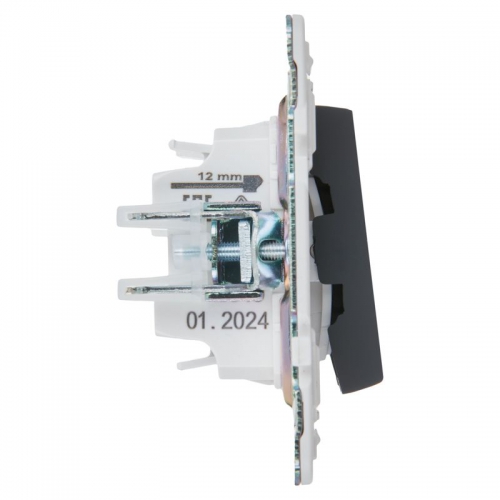 Выключатель 2-кл. SKANDY 10А SK-V04G графит IEK SK-V20-0-10-K53 SK-V20-0-10-K53